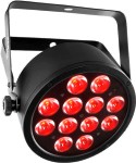 Click to view Chauvet data